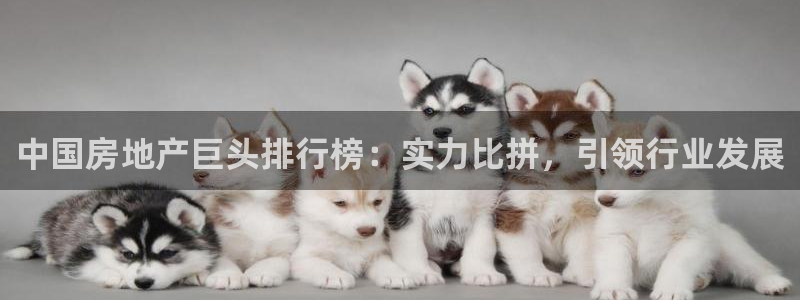 j9九游国际真人游戏第一品牌