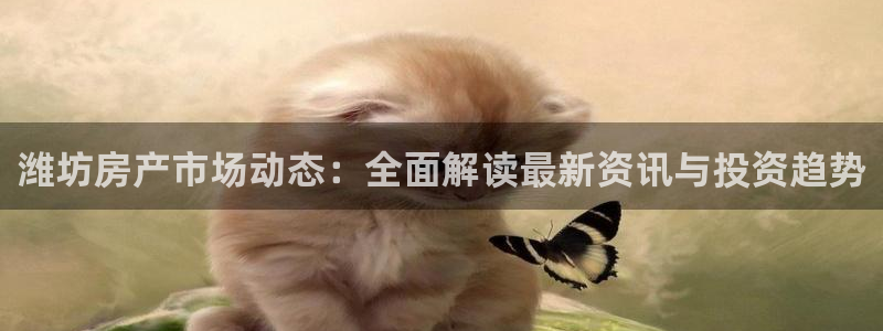 九游会j9官网ag